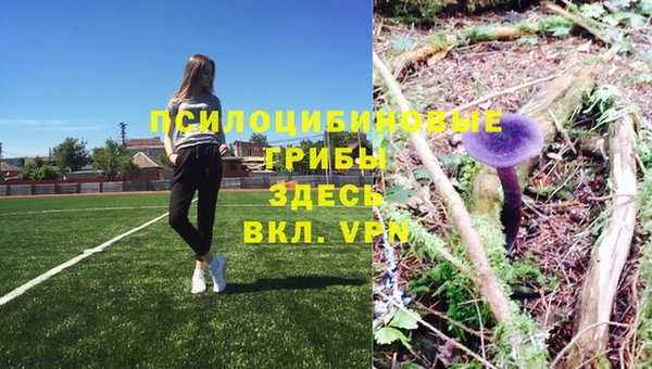 MDMA Premium VHQ Абдулино