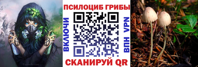 Галлюциногенные грибы MAGIC MUSHROOMS  Красноперекопск 